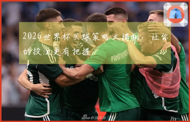 2026世界杯买球策略大揭秘，让你的投注更有把握