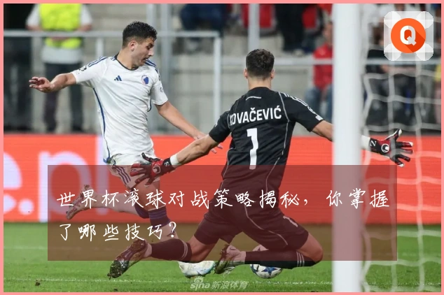 世界杯滚球对战策略揭秘，你掌握了哪些技巧？