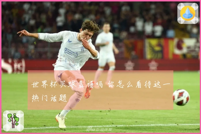 世界杯买球靠谱吗 你怎么看待这一热门话题