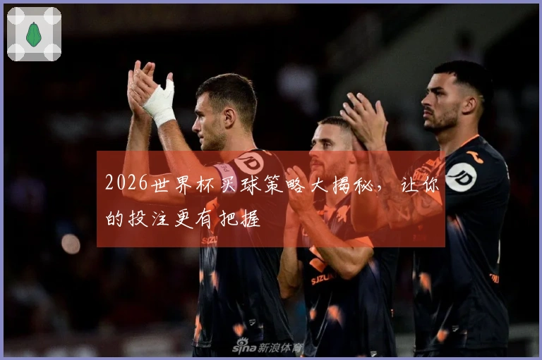 2026世界杯买球策略大揭秘，让你的投注更有把握