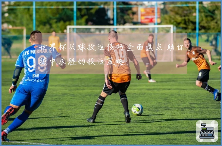 世界杯买球投注技巧全面盘点 助你稳中求胜的投注策略